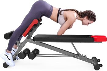 Finer Form – Banc multifonction pour entraînement complet du corps tout en un – Extension du dos – Chaise romaine, abdos réglable – Banc de musculation